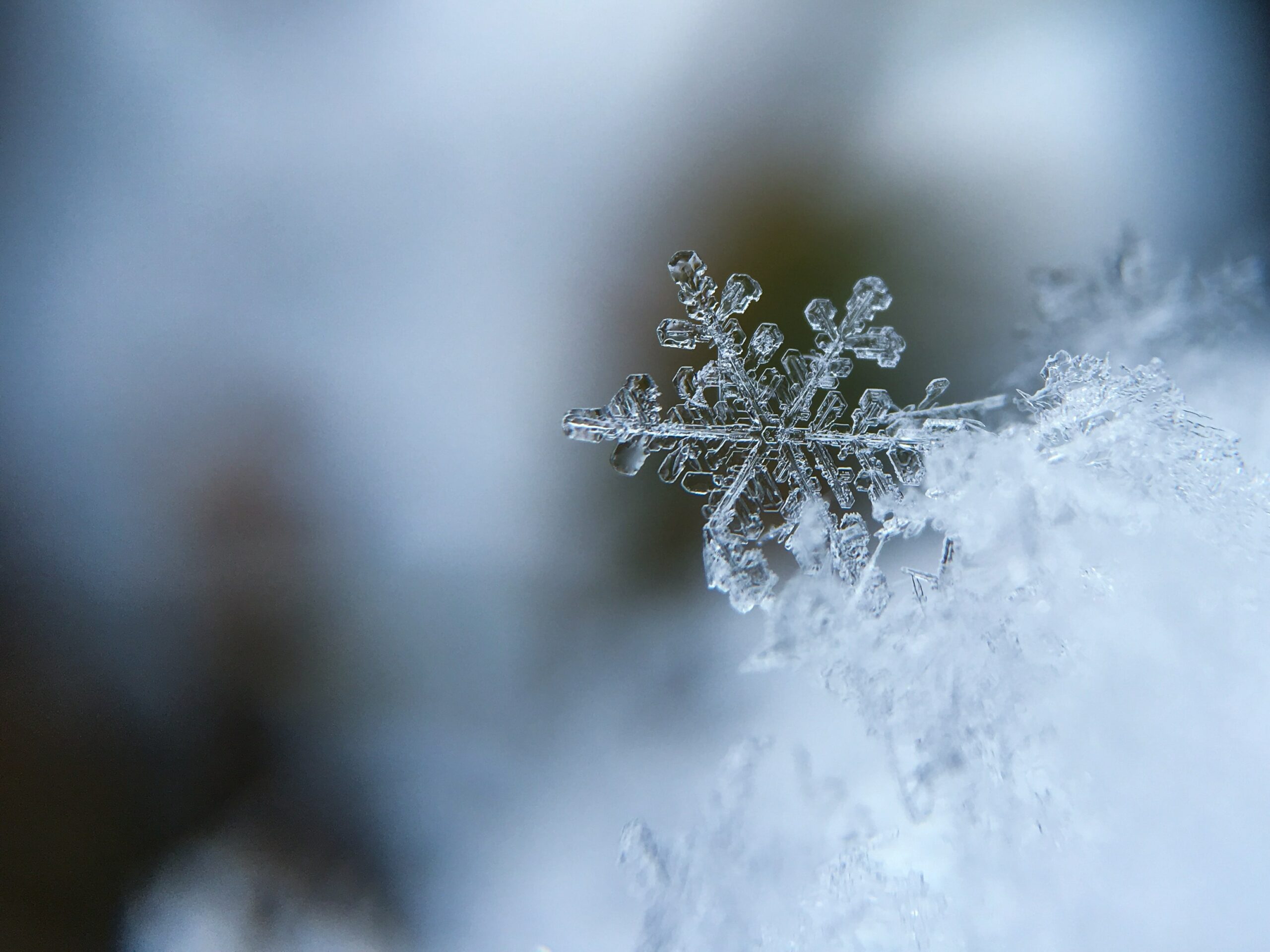 Winterdienst Profi NRW Locador