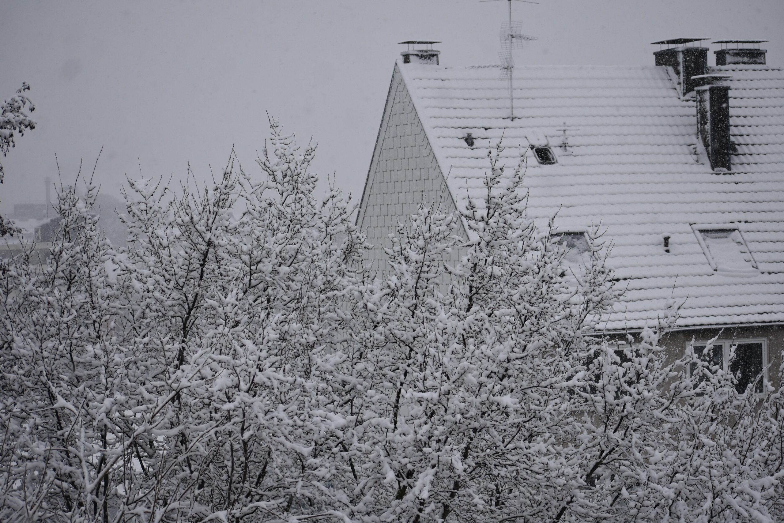 Winterdienst Locador Experte Aachen