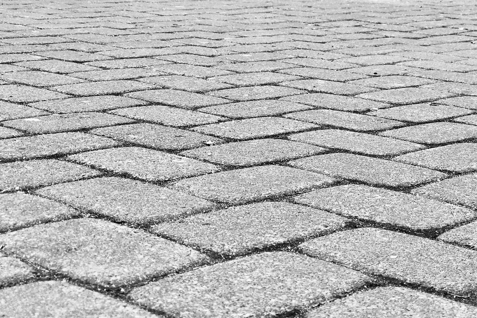 Graupflege Service Locador