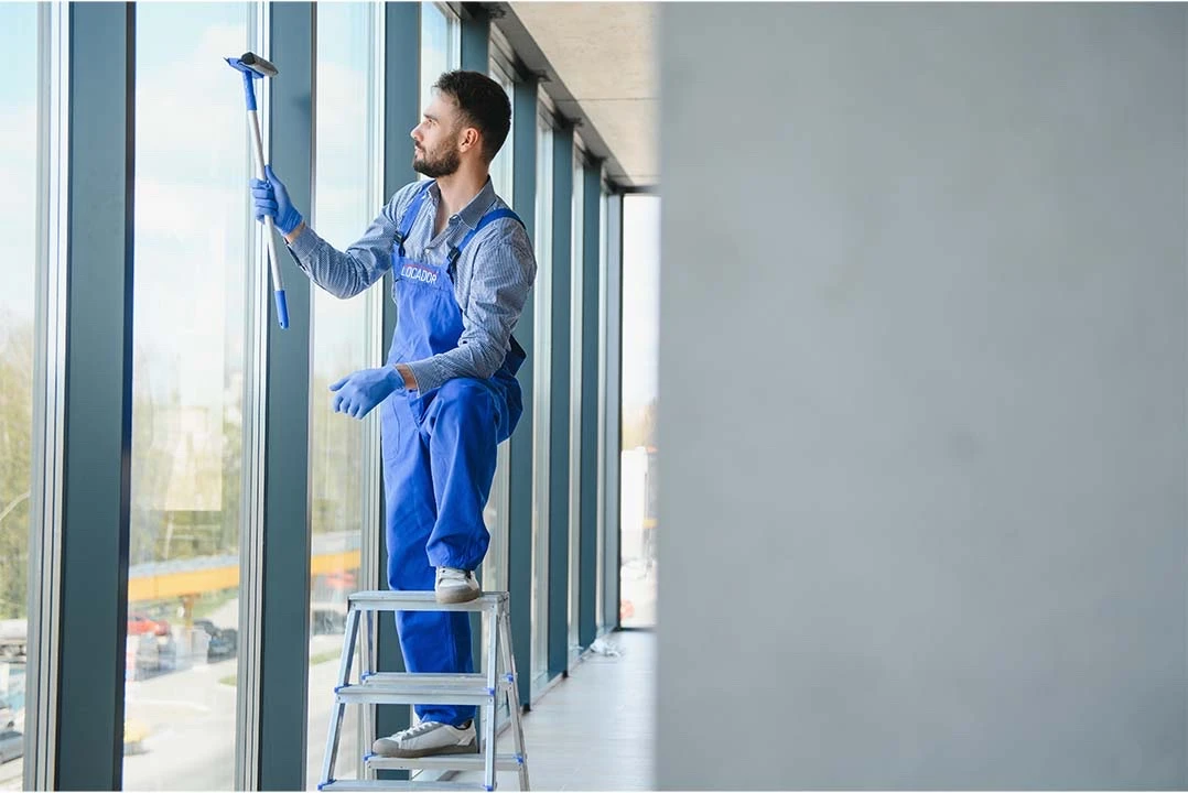 Profi für Fensterreinigung